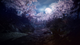 Gra PS4 Nioh 2 (płyta Blu-ray) (711719346104) - obraz 6