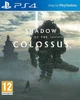 Gra PS4 Shadow of the Colossus (płyta Blu-ray) (711719352679) - obraz 1