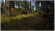 Gra Xbox Series X Way of the Hunter (Blu-ray płyta) (9120080077974) - obraz 4