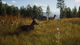 Gra Xbox Series X Way of the Hunter (Blu-ray płyta) (9120080077974) - obraz 6