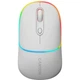 Мышь Canyon MW-22 2 in 1 Wireless Snow White (CNS-CMSW22SW) - изображение 1
