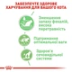 Корм вологий Royal Canin Digest Sensitive для котів з чутливим травленням 85 г (9003579309537) - изображение 2