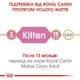 Корм сухой Royal Canin Mainecoon Kitten для котят 2 кг (3182550816502) - изображение 3