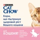 Корм вологий Cat Chow Kitten для кошенят з індичкою та кабачками в желе 85 г (7613036595001) - изображение 2