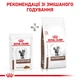 Корм вологий Royal Canin Gastrointestinal Cat для котів при проблемах з травленням 85 г (9003579027769) - зображення 5
