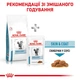 Корм сухий Royal Canin Skin&Coat Cat для котів з проблемами шкіри та шерсті 400 г (3182550939133) - зображення 5