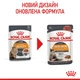 Вологий корм для котів для підтримки здоров'я шкіри та шерсті Royal Canin Hair&Skin Care in Gravy 85 г (9003579308929) - зображення 2