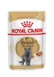 Корм вологий Royal Canin British Shorthair Adult для котів 85 г (9003579001257) - изображение 1