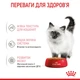 Корм вологий Royal Canin Kitten Instinctive in Gravy для кошенят 85 г (9003579308943) - зображення 2