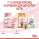 Корм вологий Royal Canin Kitten Instinctive in Gravy для кошенят 85 г (9003579308943) - зображення 5