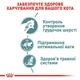 Корм вологий Royal Canin Hairball Care для котів 85 г (9003579000410) - зображення 3