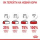 Корм сухий Royal Canin Indoor для котів 10 кг (3182550706940) - зображення 5