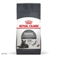 Корм сухой Royal Canin Dental Care для кошек 400 г (3182550717175) - изображение 1