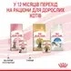 Корм вологий Royal Canin Kitten Sterilized для стерилізованих кошенят 85 г (9003579007136) - изображение 3