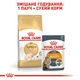 Корм сухий Royal Canin Sphynx Adult для котів 2 кг (3182550758840) - зображення 3