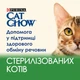Корм вологий Cat Chow Sterilized для стерилізованих котів з ягням та зеленою квасолею в желе 85 г (7613037025484) - изображение 2