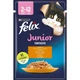 Корм влажный Felix Fantastic Junior для котят с курицей в желе 85 г (7613039832189) - изображение 1