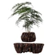 Магнітний левітаційний горщик для рослин HCNT Magnetic Levitating Pot M5B-PW Brown (M005B-PW) - изображение 1