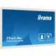 Монитор iiyama TW2424AS-W1 - изображение 5