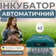 Инкубатор автоматический для яиц с автоматическим роликовым переворотным механизмом овоскопом и питанием 2в1 Птаха 42-G (220/12в) на 42 яйца - изображение 1