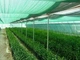 Сітка затіняюча темно-зелена 2 х 100 м, 60% Agrimpex - изображение 6