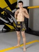 Шорти для тайського боксу TOP KING BOXING | Тренувальні Muay Thai для ММА, кікбоксингу та єдиноборств (чорний/золотий, р. L(зріст 165-175 55-65кг) - изображение 5