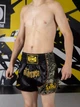 Шорти для тайського боксу TOP KING BOXING | Тренувальні Muay Thai для ММА, кікбоксингу та єдиноборств (чорний/золотий, р. XS) - изображение 6
