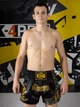Шорти для тайського боксу TOP KING BOXING | Тренувальні Muay Thai для ММА, кікбоксингу та єдиноборств (чорний/золотий, р. XS) - изображение 8