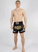 Тренувальні MMA шорти для тайського боксу, єдиноборств Sanda, UFC для спорту another boxer чорний/серебряный, р. XS (5-7 років)) - изображение 5