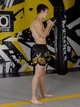 Тренувальні MMA шорти для тайського боксу, єдиноборств Sanda, UFC для спорту Bless Wear чорний/золотий, р. M(12-16 років) - зображення 11
