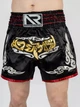 Тренувальні MMA шорти для тайського боксу, єдиноборств Sanda, UFC для спорту another boxer чорний/серебряный, р. L(зріст 165-175 55-65кг) - изображение 1