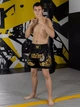 Тренувальні MMA шорти для тайського боксу, єдиноборств Sanda, UFC для спорту Bless Wear чорний/золотий, нар. XS (5-7 років)) - зображення 3