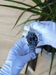 Мужские часы Casio MTP-V004D-1BUDF - изображение 3