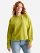 Свитшот женский C&A GD-00128573 M Салатовый (DN4000031692868) - изображение 1