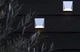Підсвічування LED фасадне IP54 AL-284/6 H Brille 34-302 - зображення 10