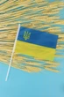 Прапорець УКРАЇНА ТРИЗУБ на присосці 780012 (2000989356127A) shop (2000989356127) - зображення 1