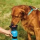 Поїлка для собак Aqua Dog FS-97 Blue дорожня переносна портативна пляшка 550ml - зображення 2