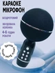 Беспроводной караоке микрофон MHZ YS-08-5W Bluetooth звуковые эффекты, запись вокала, MP3-плеер Черный - изображение 1