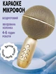 Беспроводной караоке микрофон MHZ YS-08-5W Bluetooth звуковые эффекты, запись вокала, MP3-плеер Золотистый - изображение 1