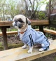 Спортивный костюм для собак Adidog M Серый - изображение 13