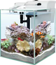 Zestaw akwariowy AquaEl Nano Reef Duo 35 2.0 White (5905546347310) - obraz 10