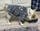 Флісова кофта для собак Bubble 2XL Сірий - зображення 12