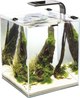 Zestaw akwariowy AquaEl Shrimp Set Smart Day&Night 10 Black (5905546326193) - obraz 1