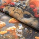 Ткань купон декоративный Мышка 45х45 см (260г/м.кв шт) 187684 - изображение 5