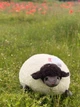 Іграшка м'яка овечка Sweet Black Sheep, 35 см, Bukowski Design, 35-002 - зображення 3