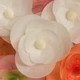 Вафельный цветок "Мальва" (белый) d-60 16шт./уп. - изображение 5