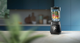 Blender kielichowy Philips Series 5000 HR3020/20 - obraz 4