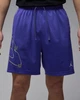 Шорты мужские Jordan Dri-Fit Graphic Shorts M Синій HF9943-543 - изображение 2