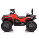 Квадроцикл електричний для дітей Lean Toys Can-Am Outlander 4x4 DK-CA005 Червоний (5905991060758) - зображення 11