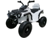 Квадроцикл електричний для дітей Lean Toys BDM0906 Білий (5907625581127) - зображення 6